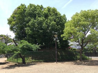 20190530takatsuki045.jpg