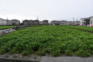 20190718tokushima145.jpg