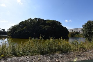 20191110sakai025.jpg