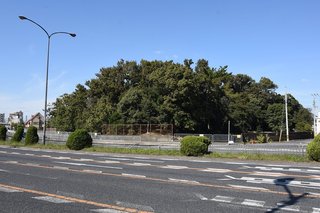 20191110sakai049.jpg