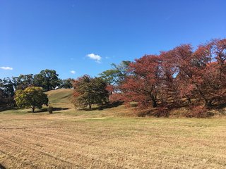 20191121furuichi019.jpg