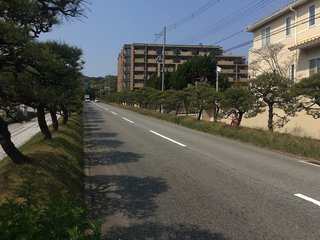 20200408suma012.jpg