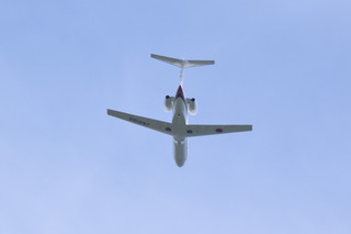 20200504wing002.jpg