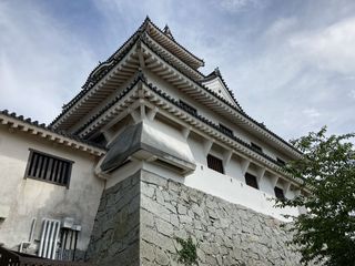 20200627karatsujo04.jpg