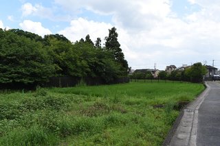 20200731katsurarikyu13.jpg