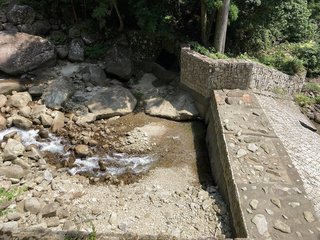 20200805nachi071.jpg