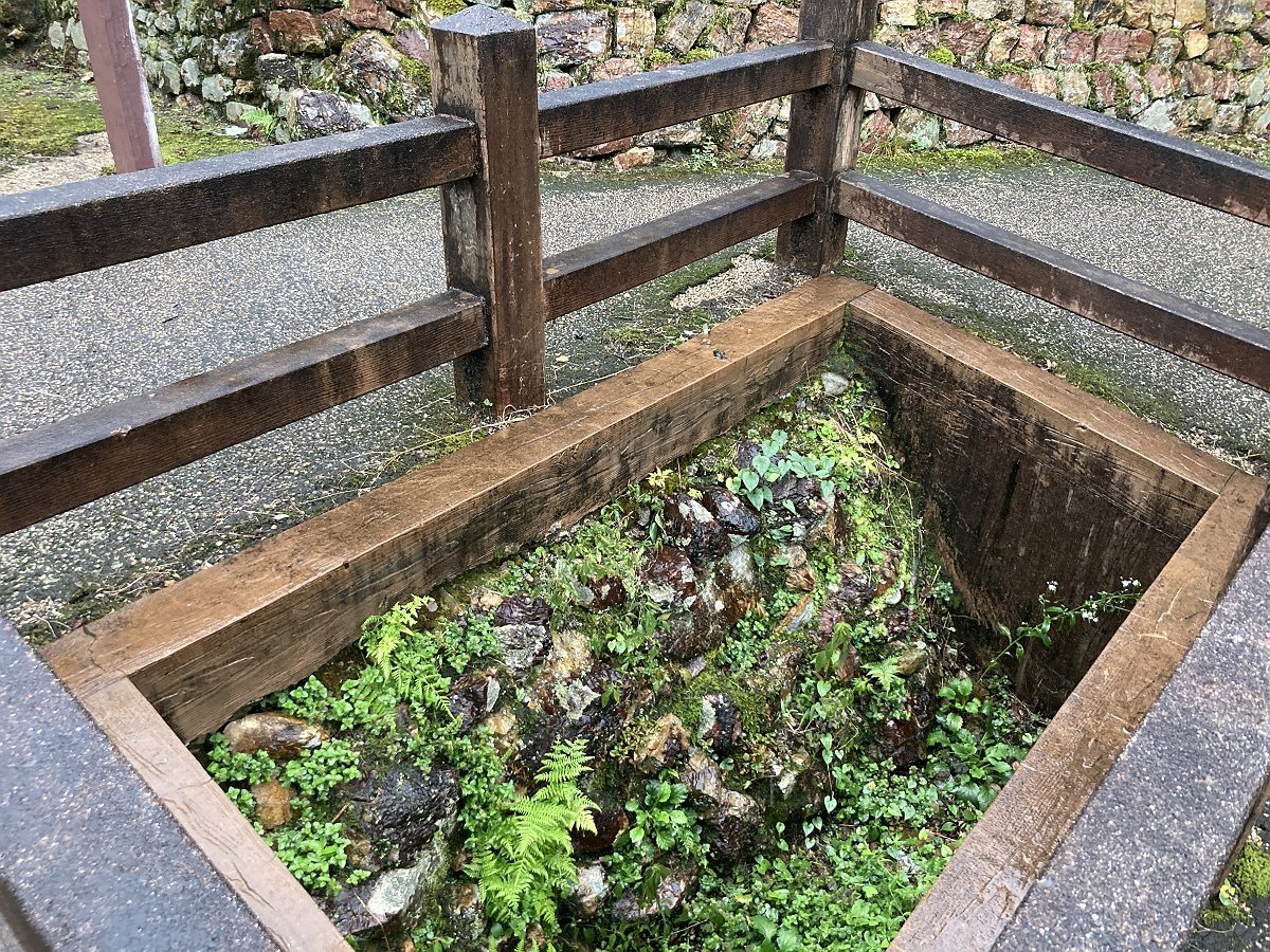 岐阜城居館（岐阜県岐阜市）: 観測所雑記帳