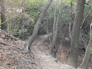 20210207takiyamajo026.jpg