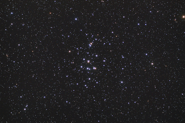 20210310m44_12_2.jpg