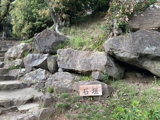 20210408nagoyakomaki642.jpg