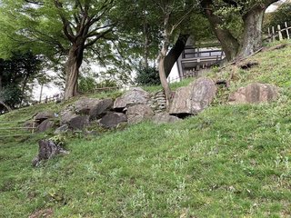 20210408nagoyakomaki652.jpg