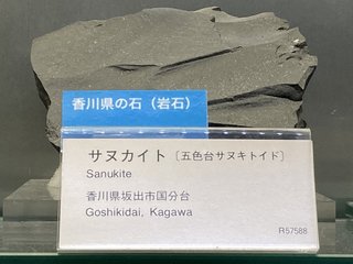 20210626tsukuba166.jpg