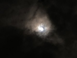 20210921chushu010.jpg