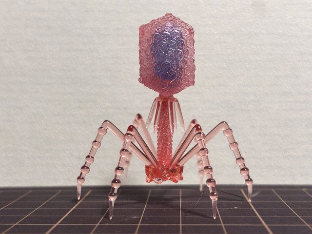 20231107t4phage004a.jpg