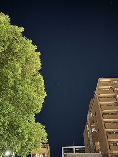 20231201css001.jpg