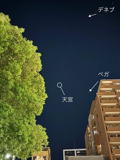 20231201css002.jpg