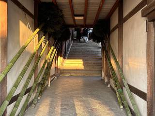 20250309todaiji014.jpg