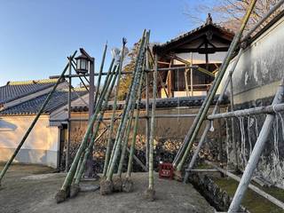 20250309todaiji015.jpg
