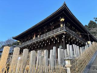 20250309todaiji020.jpg