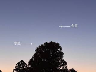 20250309todaiji027.jpg