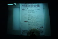 �V���t����