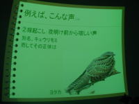 ��������̃X���C�h