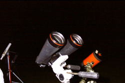 ��コ��̑o�ዾ