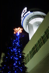 �V���Ȋw�قƃN���X�}�X�c���[