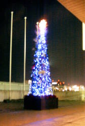 ���֑O�̃N���X�}�X�c���[