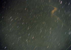 �΋��̗�����